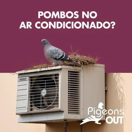 Afastamento de pombos