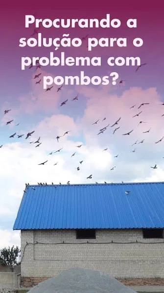 Proteção contra pombos