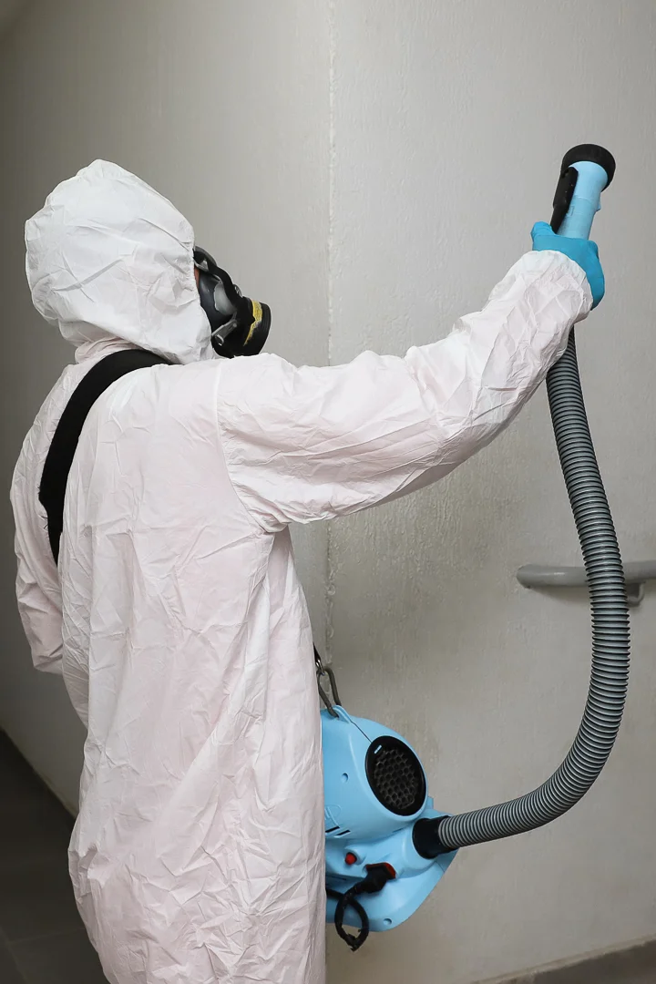 Empresa de sanitização em Macaé